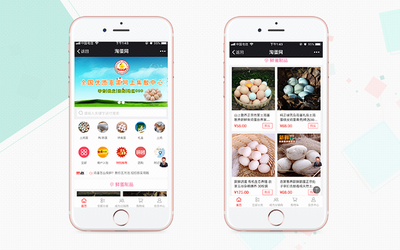 小程序商城開(kāi)發(fā)小程序定制開(kāi)發(fā)微信公眾號(hào)B2C商城開(kāi)發(fā)基礎(chǔ)版