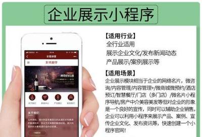小程序定制開發、微信公眾號、推廣排名、吸粉