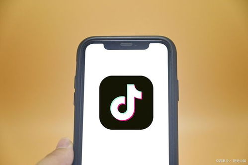 深度抖音小程序定制開發(fā)與SCM軟件系統(tǒng)定制開發(fā) 打造獨一無二的用戶體驗與供應鏈管理效能